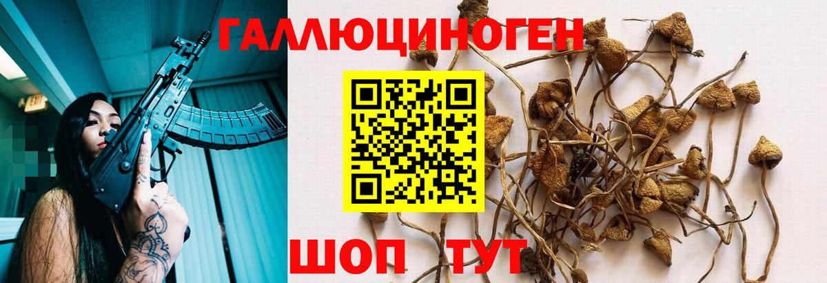 Артёмовский  Галлюциногенные грибы мицелий  Вход с VPN  Галлюциногенные грибы MAGIC MUSHROOMS 